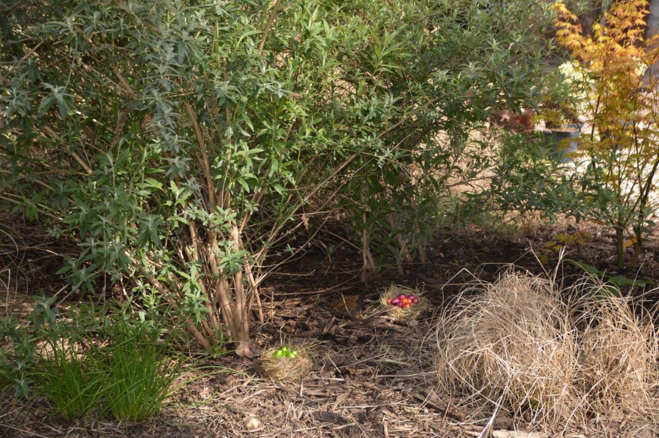 Gite De Charme En Sologne, Sejour En Famille, Jardin, Riviere, Jeux, Nature & Detente Aubigny-sur-Nère Εξωτερικό φωτογραφία