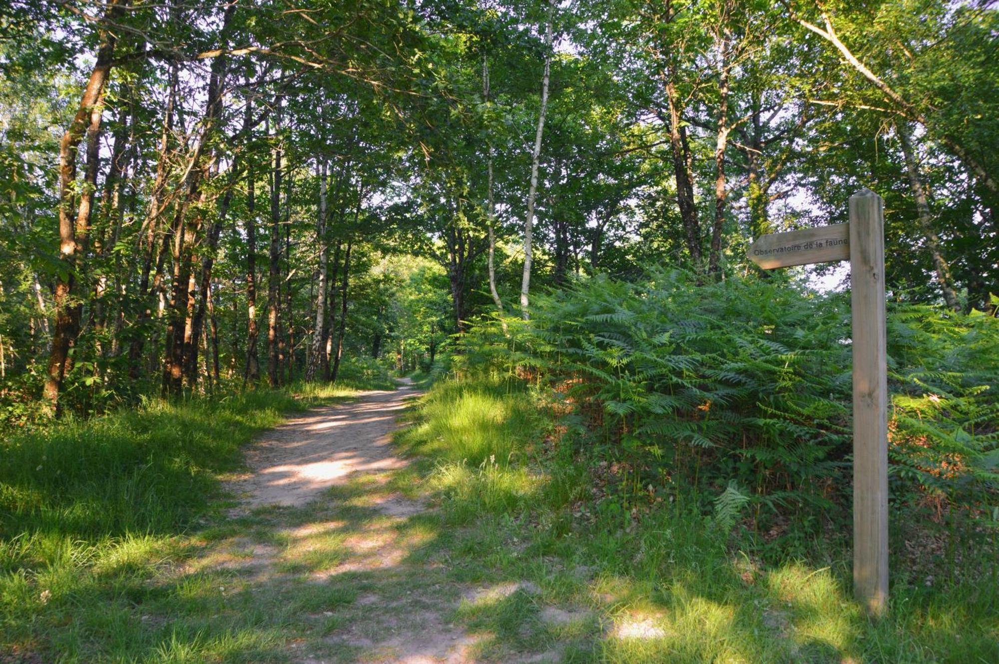 Gite De Charme En Sologne, Sejour En Famille, Jardin, Riviere, Jeux, Nature & Detente Aubigny-sur-Nère Εξωτερικό φωτογραφία